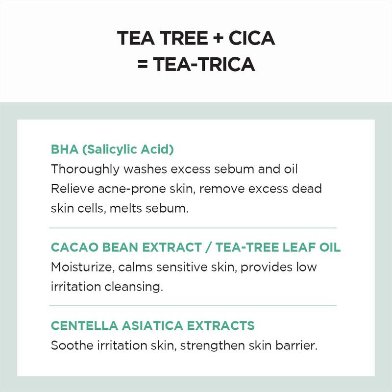 SKIN1004 Madagascar Centella Tea-Trica BHA Foam 125ml Perawatan Wajah Berjerawat Berminyak Membersihkan Kotoran Bruntusan - 3